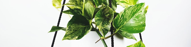 世界杯球队积分榜数据表截图